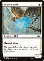 Healer's Hawk, illustrated by Milivoj Ćeran