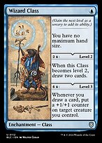 Wizard Class, illustrated by Milivoj Ćeran